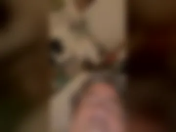 gremlin67768594 live webcam preview