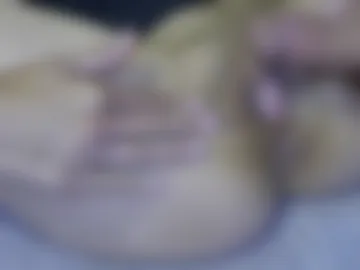 grogain webcam preview