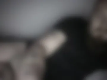 groszizi62 live webcam preview