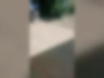 grugavelliandsapphire live webcam preview