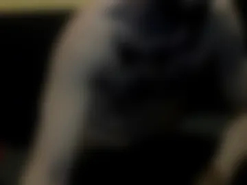 guest08baby live webcam preview