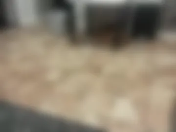 gushy_slushy live webcam preview