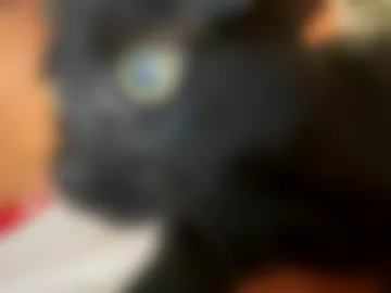 h0twheels_420 webcam preview