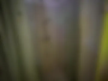 hairy_superman photo 3