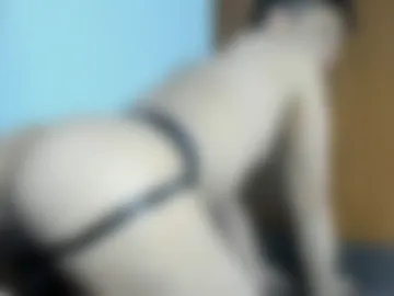 halle_1 live webcam preview