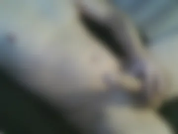 hampaacam photo 6