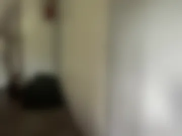 handymanii18 webcam preview