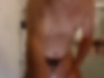 handysmurf webcam preview