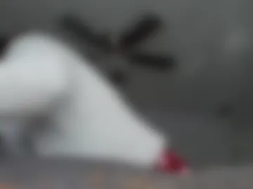 hannukahhottie photo 6