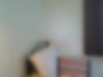 hardswtch webcam preview
