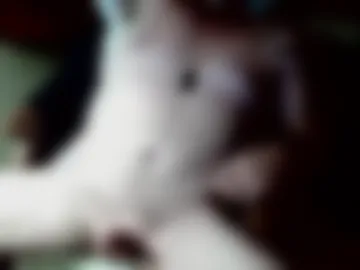 hardupandh0rny live webcam preview