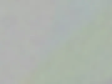 hardworkertn photo 4