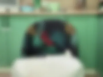 harmonicdiv webcam preview