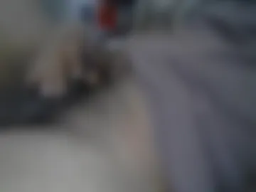 hassane12 live webcam preview