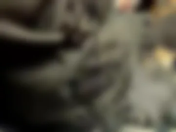 hawhyeah live webcam preview