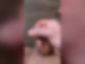 headsmasher12 live webcam preview