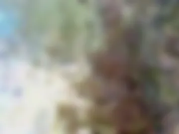 heaven2752 live webcam preview