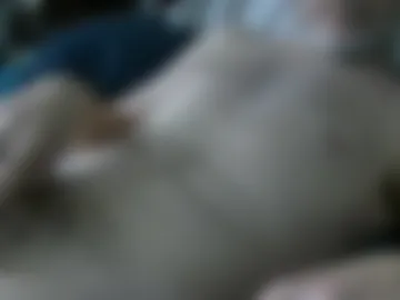 hefo99 live webcam preview