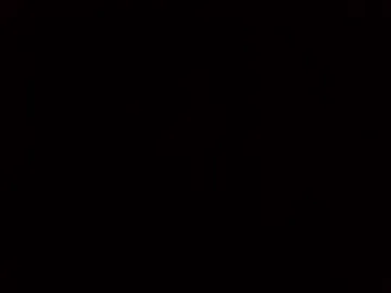 helena_copper webcam preview