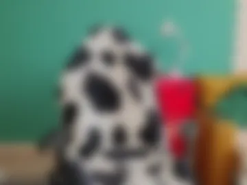 hell_l0ve webcam preview