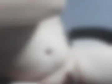 helliotx4 photo 2