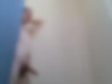 hemizayy live webcam preview