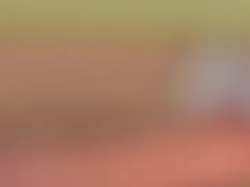 hidden_charm_ webcam preview