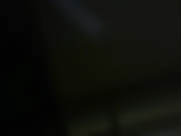 hidensma live webcam preview