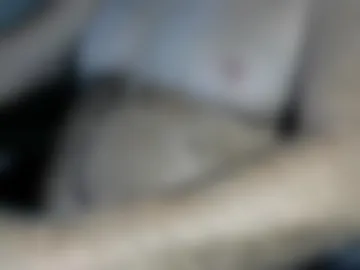 higgins11 webcam preview