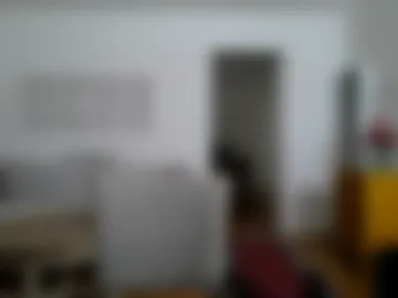 hippiezen webcam preview