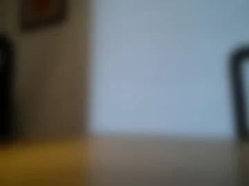 hippiezen webcam preview