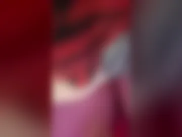 hippihalo live webcam preview