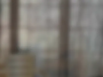hirarigatito webcam preview