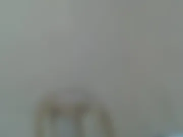 hoelyrafaela photo 6