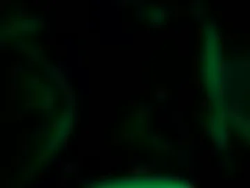 hoiiand48482 photo 8