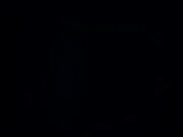 hoiiand48482 photo 7