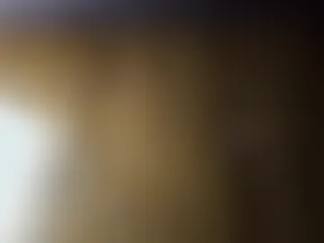 hoiiand48482 photo 2