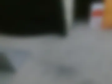 hollyhawkes live webcam preview