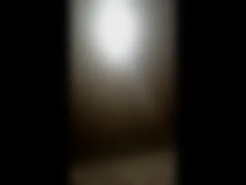 holtzhauzengysbert live webcam preview