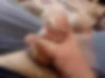 holycannoli123 photo 2