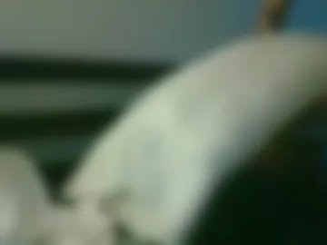 homeboner86 photo 3