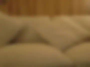 honeybeedog webcam preview