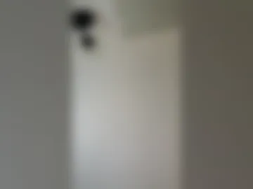 hoodbilly304 live webcam preview