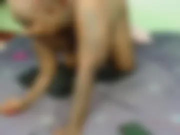 horny_barila webcam preview