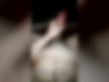 hornyguy9952 live webcam preview