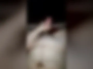 hornyguy9953 live webcam preview