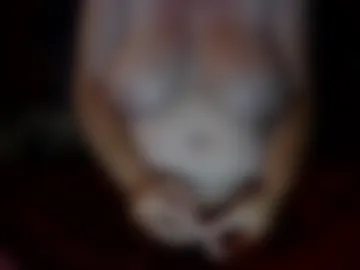 hornymilfwife_69 photo 3