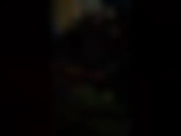 horse2026 live webcam preview