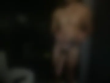 horsedock_ live webcam preview