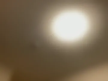 horselad21 webcam preview